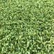 Штучна трава CCGrass Green E 12 3401 фото 3